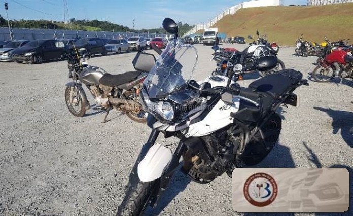 LOTE 007 TRIUMPH TIGER 2018