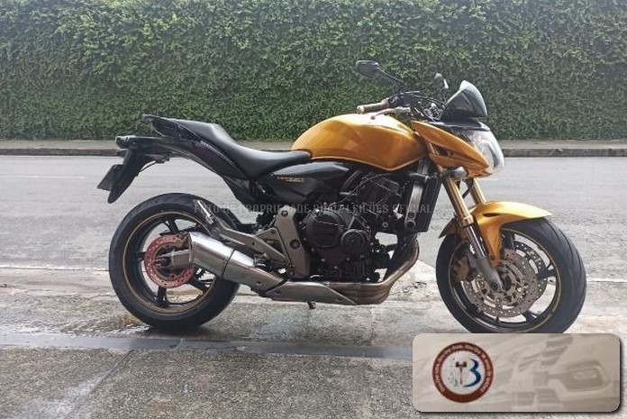 LOTE 013 HONDA CB 600F HORNET 2009